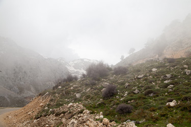 Similar image 22664004