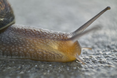 Similar image 22694958