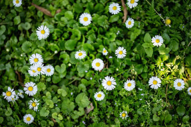 Similar image 22695005