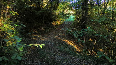 Similar image 22693657