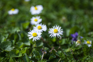 Similar image 22693700