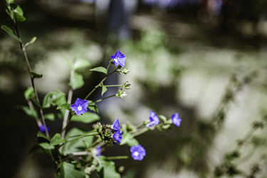 Similar image 22693479