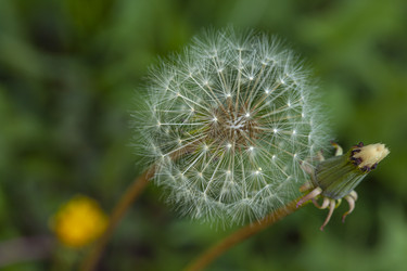 Similar image 22693511