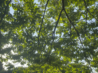 Similar image 22693717