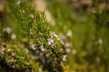 Similar image 22693718