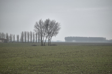 Similar image 22693879