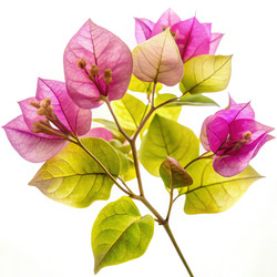 Similar image 22666750