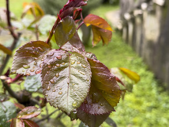 Similar image 22694540