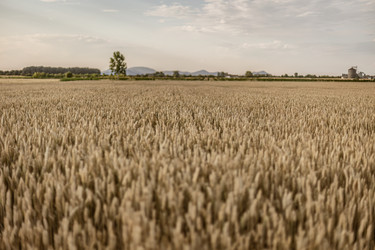 Similar image 22694554
