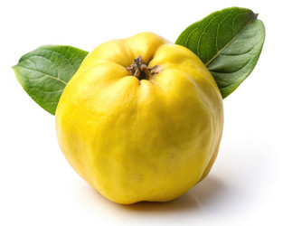 Similar image 22667145