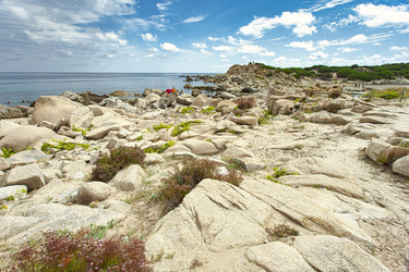 Similar image 22693419