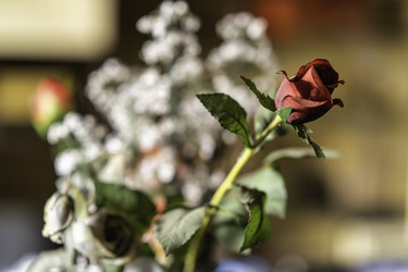 Similar image 22693749