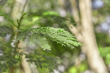 Similar image 22693764