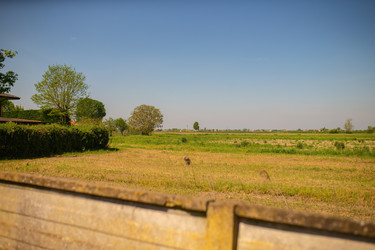 Similar image 22693778