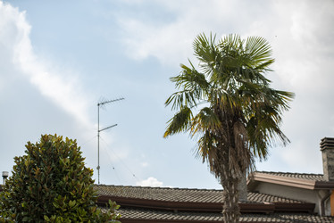 Similar image 22693617