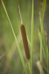 Similar image 22693663