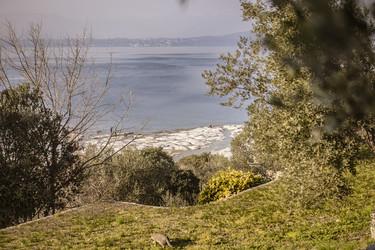 Similar image 22693664