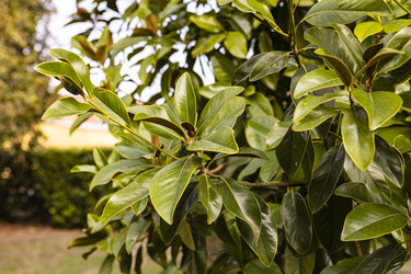 Similar image 22693914