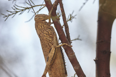 Similar image 22693924
