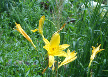 Similar image 22664082