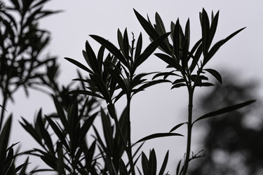 Similar image 22694734