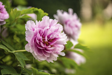 Similar image 22693424