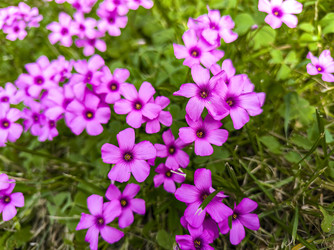 Similar image 22693411