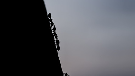 Similar image 22665760