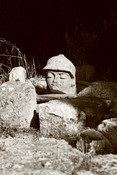 Similar image 22662447