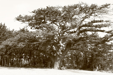 Similar image 22662448