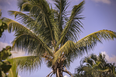 Similar image 22682461