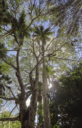 Similar image 22694766