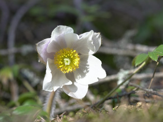Similar image 22664045