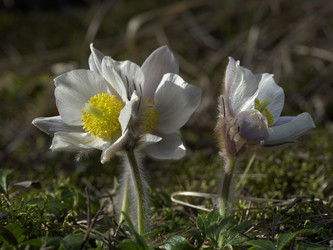 Similar image 22664046