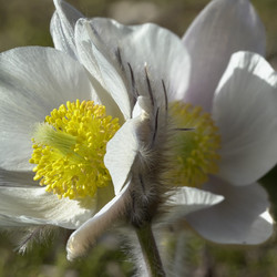 Similar image 22664047