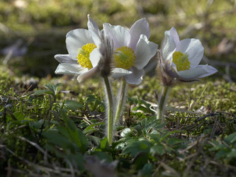 Similar image 22664048