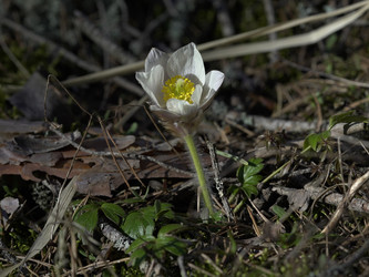 Similar image 22664049