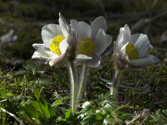 Similar image 22664050