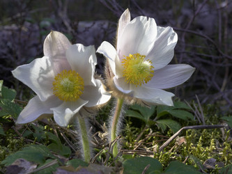 Similar image 22664051