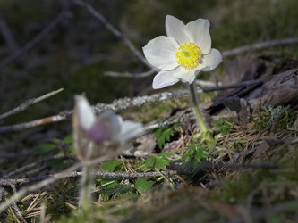 Similar image 22664052