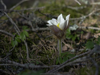 Similar image 22664053