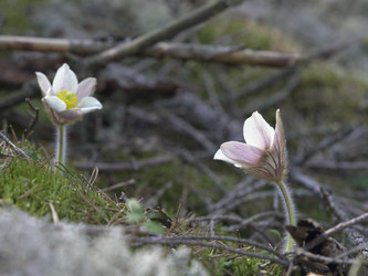 Similar image 22664054