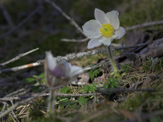 Similar image 22664055