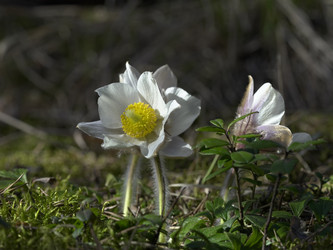 Similar image 22664056