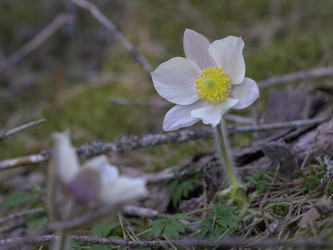 Similar image 22664057