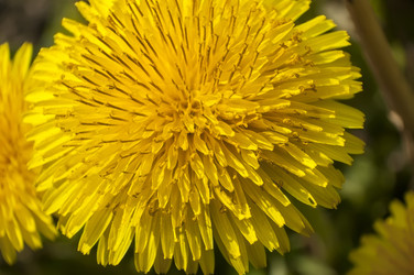 Similar image 22666099