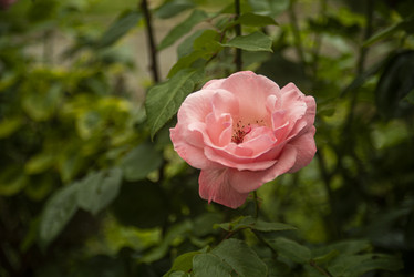 Similar image 22694812