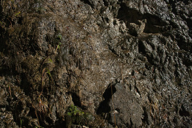Similar image 22694827