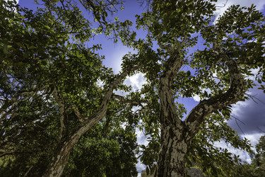 Similar image 22694842