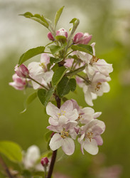 Similar image 22695009